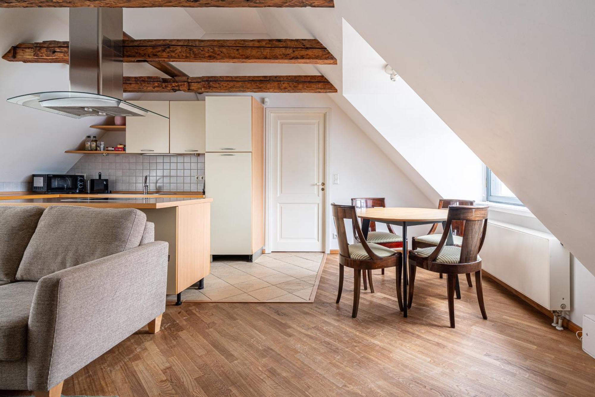 Apartment Old Town - Viru Gate