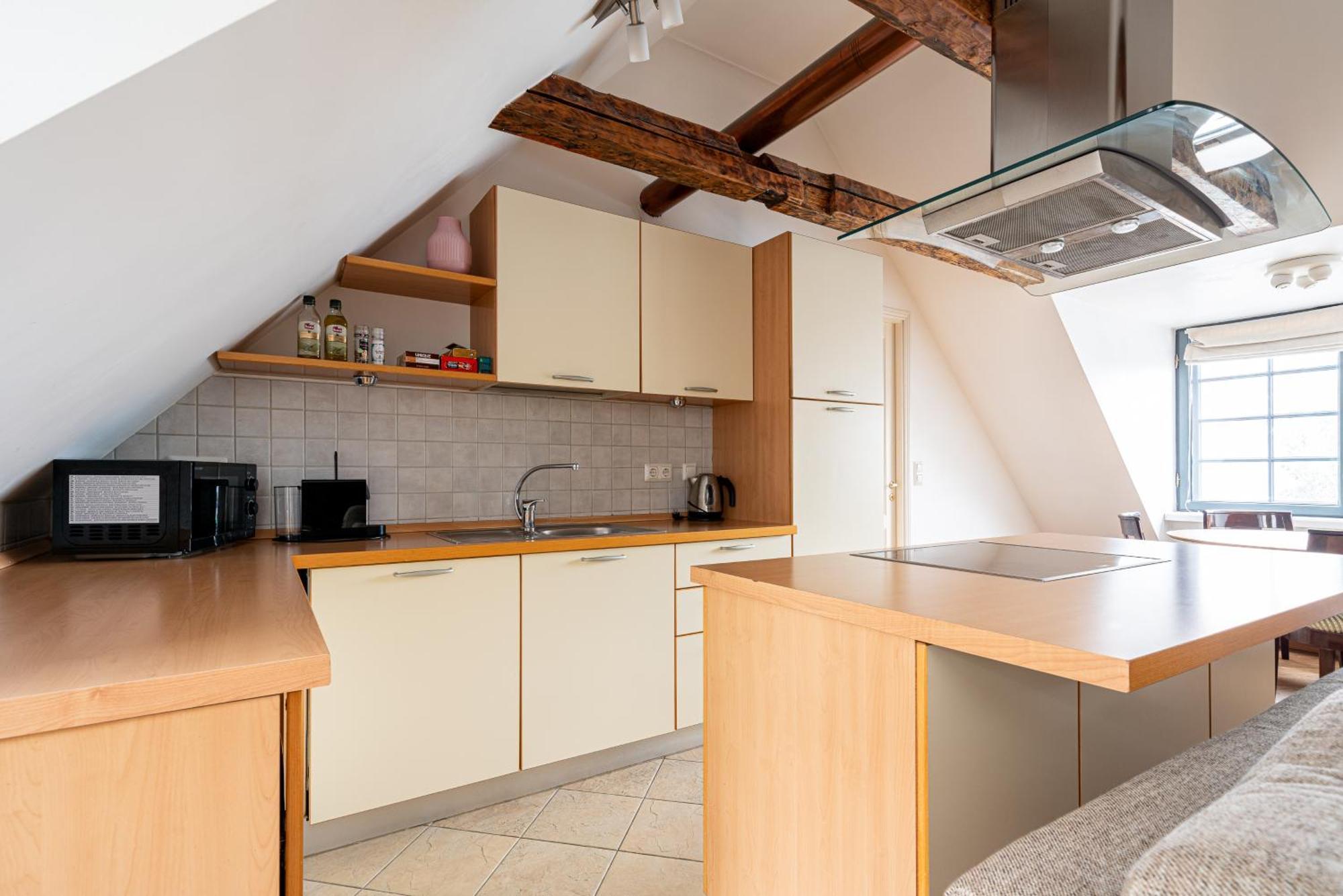 Apartment Old Town - Viru Gate *